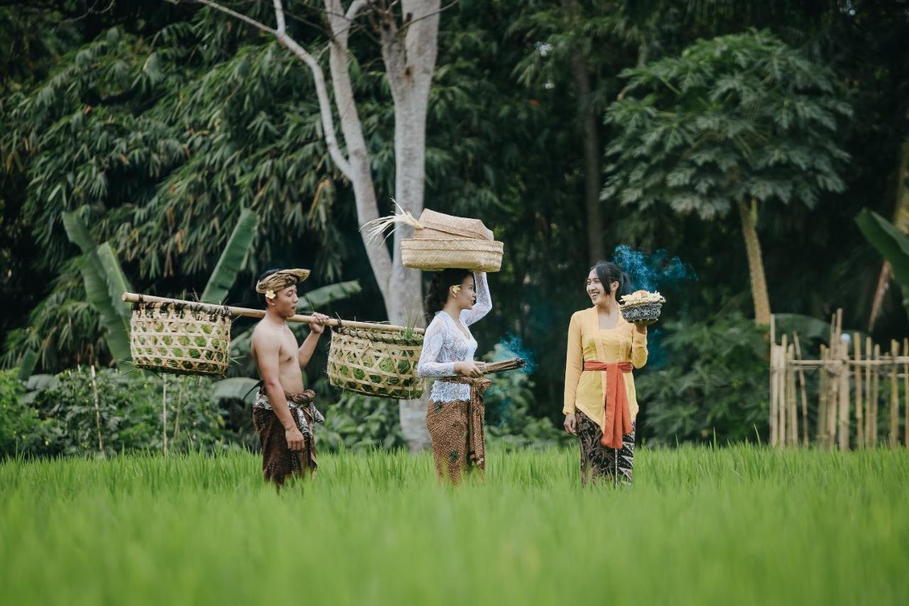 Candy Villa By Pramana Villas Ubud Zewnętrze zdjęcie