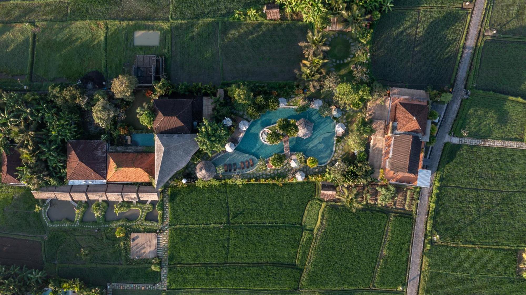 Candy Villa By Pramana Villas Ubud Zewnętrze zdjęcie